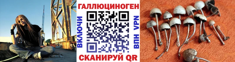 Псилоцибиновые грибы мицелий  Демидов 